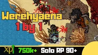 RP 90+ Werehyaena's Single Target [Tibia Solo Paladin]