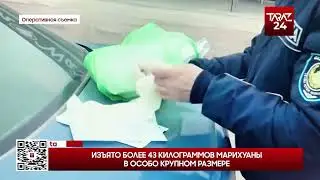 ИЗЪЯТО БОЛЕЕ 43 КИЛОГРАММОВ МАРИХУАНЫ В ОСОБО КРУПНОМ РАЗМЕРЕ