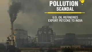 Apex court hearing on petcoke ban