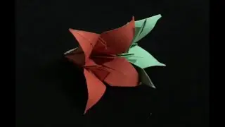 How to make LILY FLOWER Origami | Creatoscape