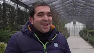 Arte topiaria, Pistoia racconta gli artigiani del verde