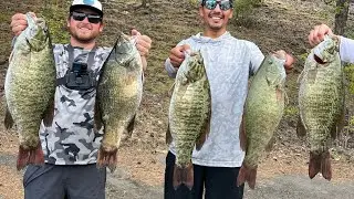 BIGGEST Smallmouth Tournament bag EVER weighed!! (34.68) 8.03 big fish!