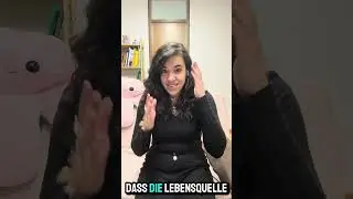 🇩🇪Zusammenarbeit zwischen Körper, Seele und Geist
