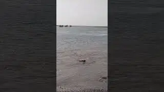 #funny #nature #freefire #vlog #voyage #safigoud #video #viralreels #shorts #shortvideo #maroc #lol