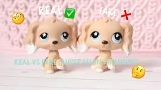 LPS: Australian Exclusive cocker spaniel FAKE vs. REAL