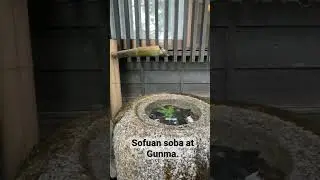 Beautiful water bowl seen at traditional soba shop.