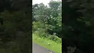 village tour inwild life #videos $$$$$$$$$$#virel #wild