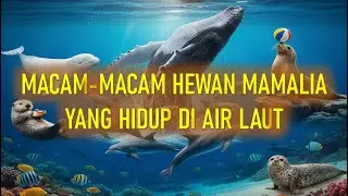 Macam-Macam Hewan Mamalia Yang Hidup Di Laut, Anjing Laut, Lumba-Lumba, Beluga, Berang-Berang, Paus