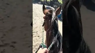Riding vlog!#jesuslovesyou