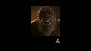 portable baboons coming after the human baboon 🤣🤣@_ESTERpikin77