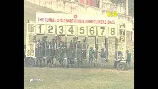 Delhi Race No 4 The Global Stud North Indian 2000 Guineas /win - ASHWA VEERAM /J- Yash Narredu/2025