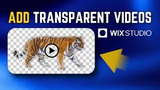 How To Add Transparent Videos in Wix Studio | Step-by-Step