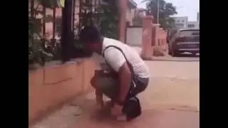 Dumbo