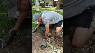 EASIEST AND BEST WAY TO INSTALL A SPRINKLER HEAD!
