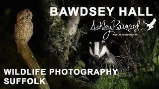 Bawdsey Hall - Suffolk Wildlife Photography