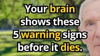 5 Silent Signs Your Brain Is Dying After 70 - What Doctors Won't Tell You