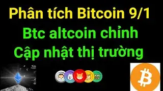 Ph&acirc;n t&iacute;ch Bitcoin h&ocirc;m nay mới nhất ng&agrave;y 9/1 btc altcoin chỉnh giảm nhẹ