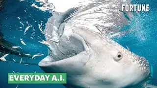How A.I. Is Being Used To Protect Whale Sharks From Extinction | Everyday A.I.
