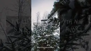 inspire #quotes #betterversion #motivation #inspiration #inspire #snowfall #snow #winter