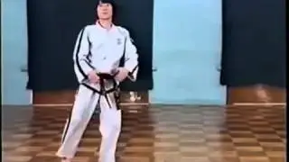 Tul - 2nd to 3rd Dan - Choong-Jang - Traditional ITF Taekwon-do
