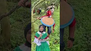 Jauh banget ke Jepang??!!? #kampoengkidz #sekolah #wisatasekolah #kotawisatabatu