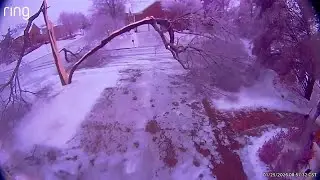 Tree falls during winter storm in Tennessee