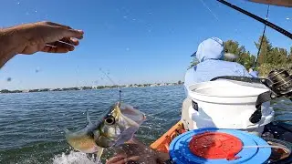 Kayak Fishing Indian River near Sebastian Inlet, Fl