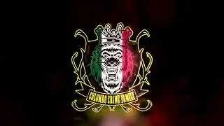 Clean glitch lion logo intro animation, after effect templet download for youtube twitch