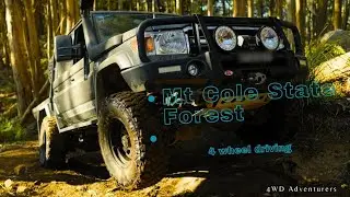 Mt Cole State Forest,  4 wheel driving