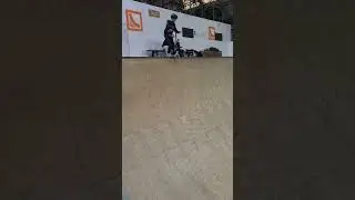 my friend Alfie drops in in the vert ramp #scooter #megaramp #skatepark