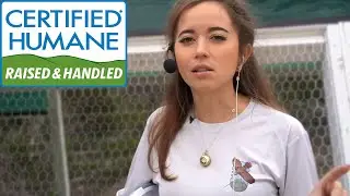 Maya Explains The Importance Of Understanding Food Labels