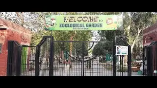 D G KHAN ZOO | Biggest Cage