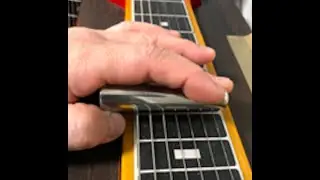 The Rose / Steel Guitar
