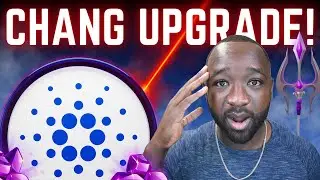 Масштабное обновление Cardano: хардфорк Chang &mdash; ожидайте БОЛЬШИХ улучшений!