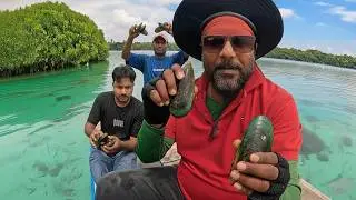 තොල් කොල බෙල්ලො | Catch & Cook green mussels | ලොව මිල අධික කොල බෙල්ලන් සොයා | @wishwatiyubaya 👣😲🎣