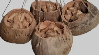 Making Coconut Husk Pot
