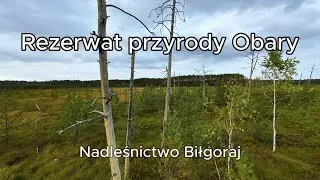 Rezerwat przyrody Obary &ndash; dzikie torfowisko Puszczy Solskiej | Kraina żurawiny z lotu ptaka