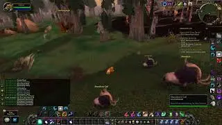 How to do One Size Does Not Fit All quest - WoW WOTLK Classic