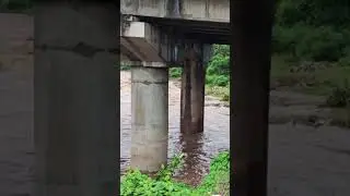 Muredu Vagu Under Bridge | Kothagudem | #kothagudem | Bhadradri | Laxmidevipally | Water Flow