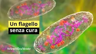 La Storia della Peste Nera: Origini, Diffusione e Conseguenze