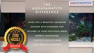 AquaFanatics - Behind The Scenes In Our Monthly Servicing Programme