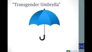Improving Safety Permanency Well Being LGBTQ Youth 2015