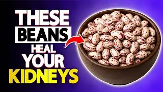 Top 5 Beans to Decrease Creatinine & Improve GFR | Heal U