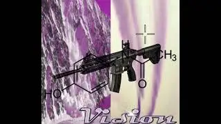 HK1000 - vision