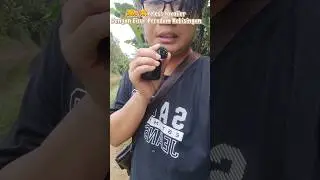 Review Mic TNW A36 ,Mic wireless dengan Fitur Peredam Kebisingan #tnw #micwirelesstnw