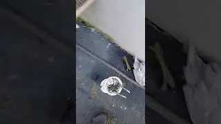 Chevy avalanche fuel pump problem how to test the wires car not starting