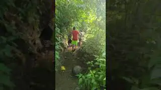 Wildlife || Nature Trek || Usgaon Waterfall || Somewhere on Earth || Funny Video #Shorts