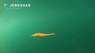 Incredible Bait Junkie 7