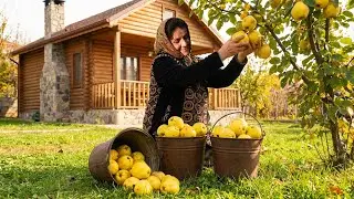 Harvested Quince from Garden I Juicy Quince Jam I Country Life