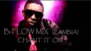 B-FLOW MIX (ZAMBIA)